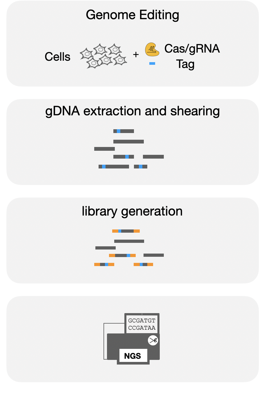 Enlarged view: The iGUIDE/GUIDE-seq workflow