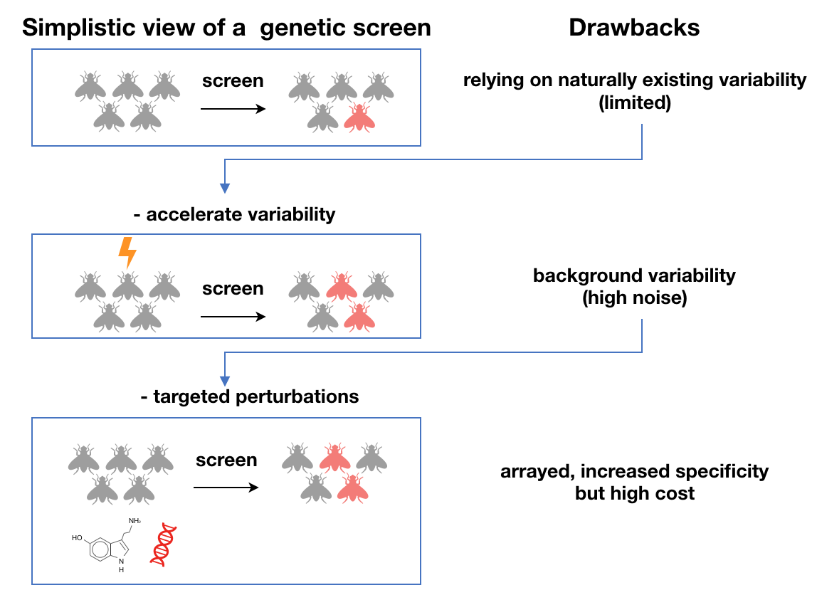 Enlarged view: Screening Basics